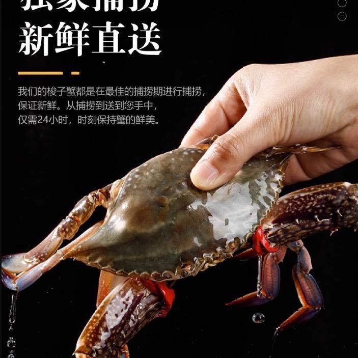 海琅生鲜