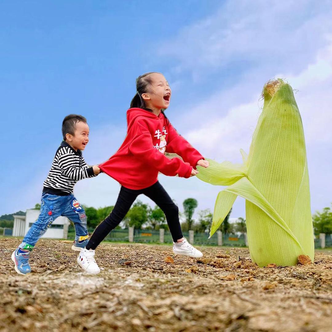 辰辰与妍妍