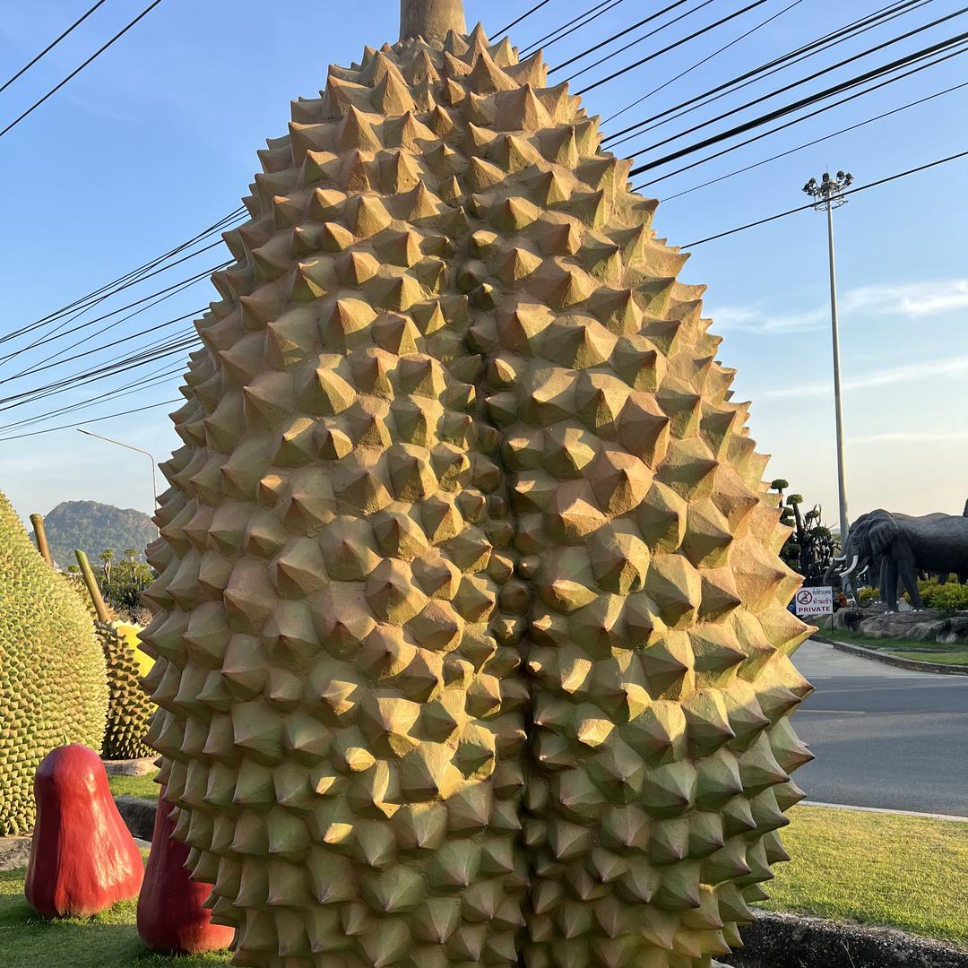 叶紫木坊