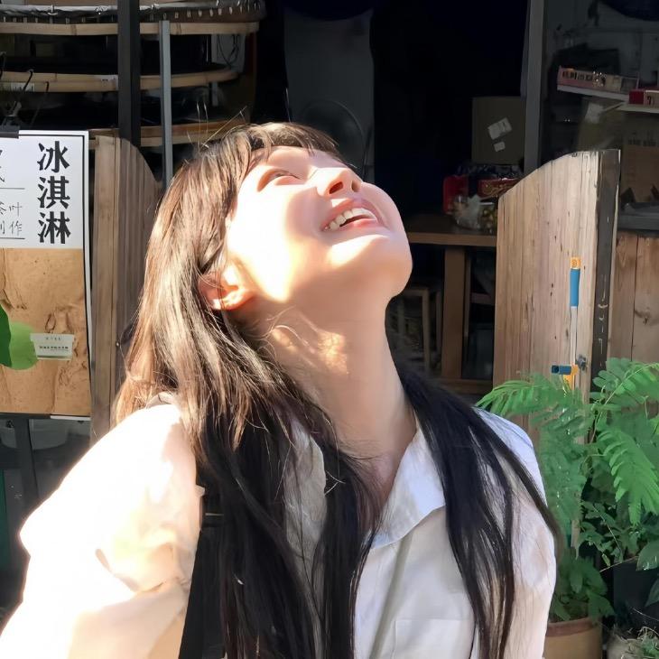 小岛（努力找工作版）