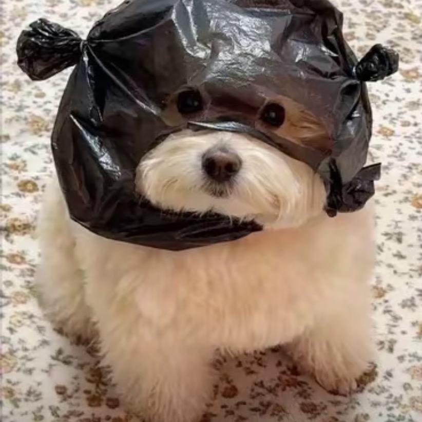 果然