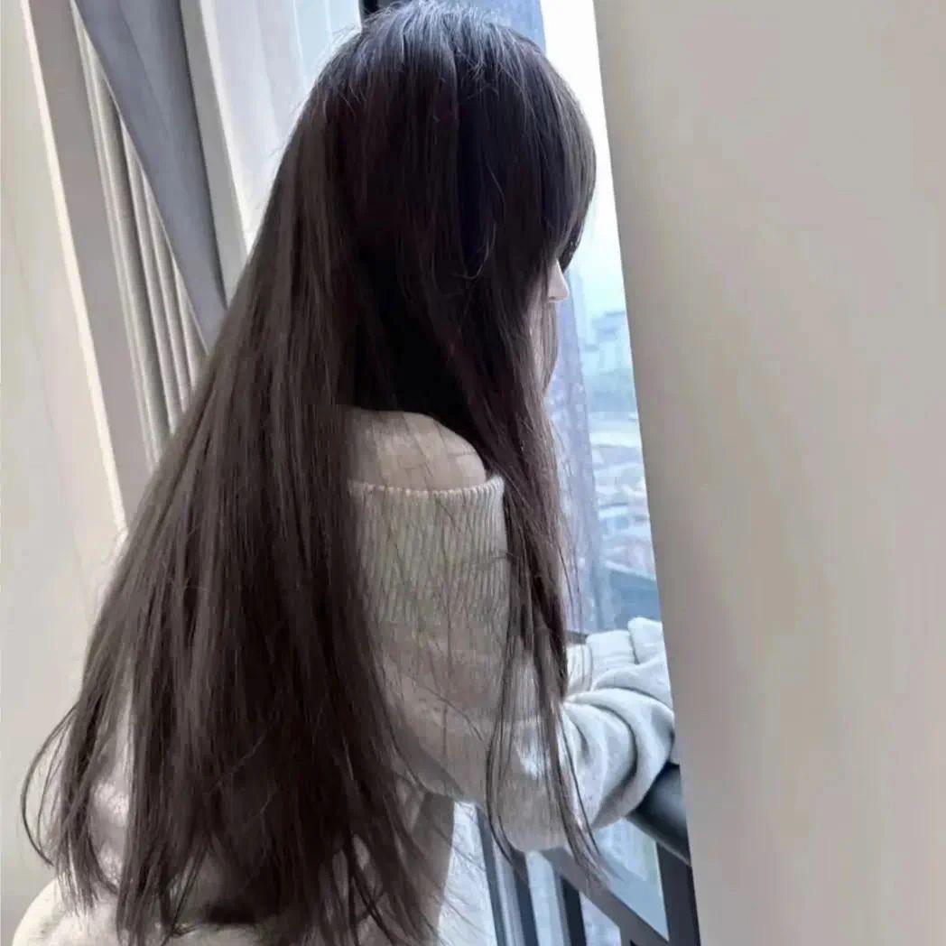 灯塔水母