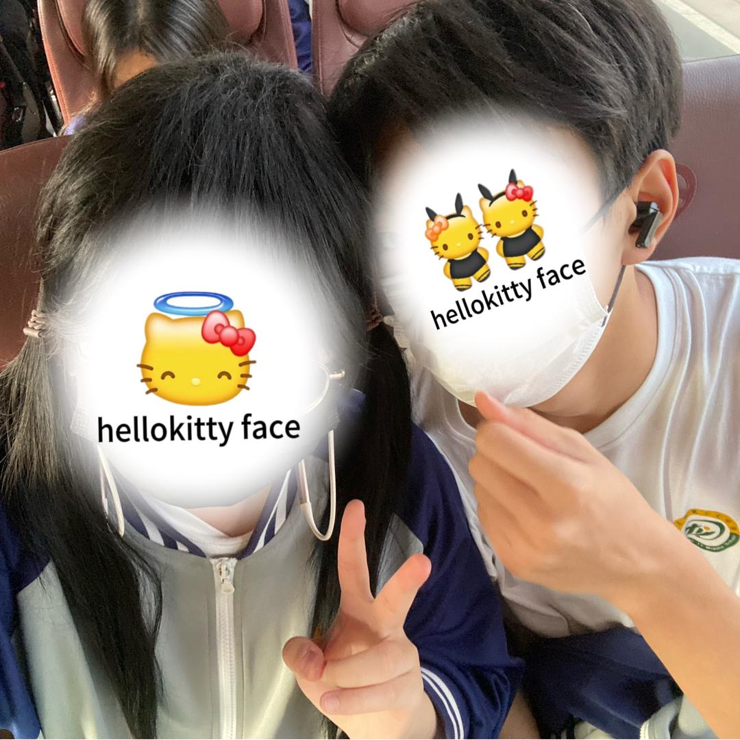 腌渍杏味无菌桃酥