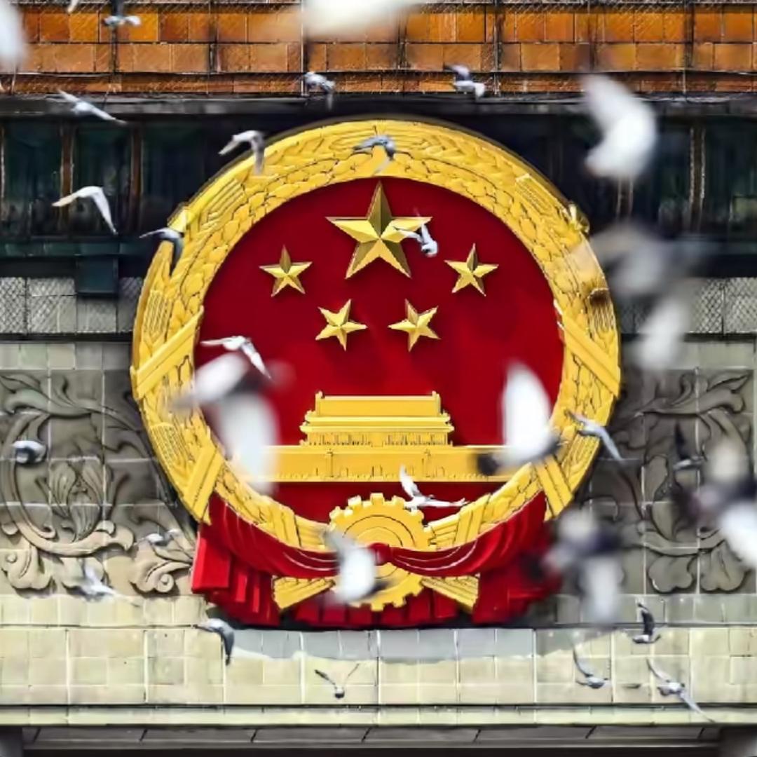 ᥫᩣ༠边牧澜昕🐱墨墨的日常