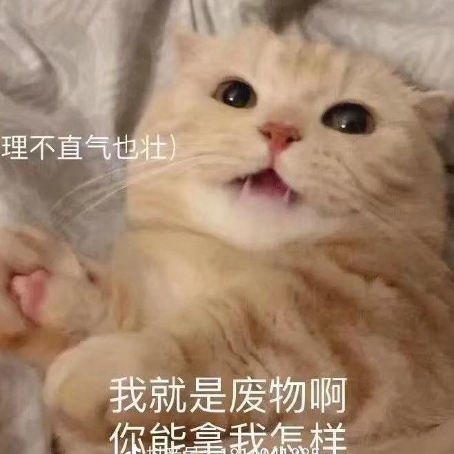 ' 南渡