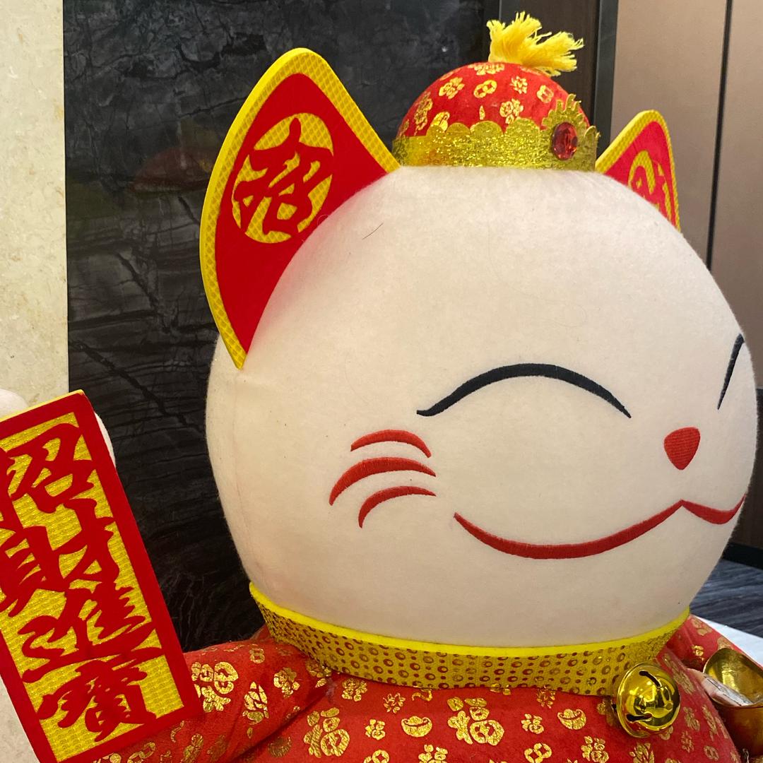 小猫猫猫