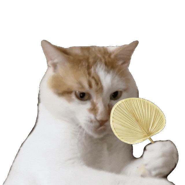 幸运小土豆