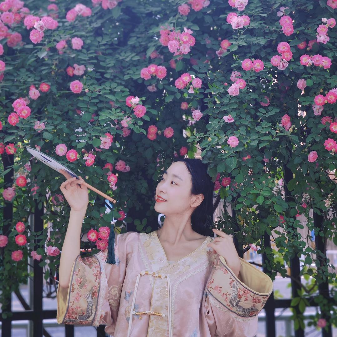 是璐璐吖🌸🌸