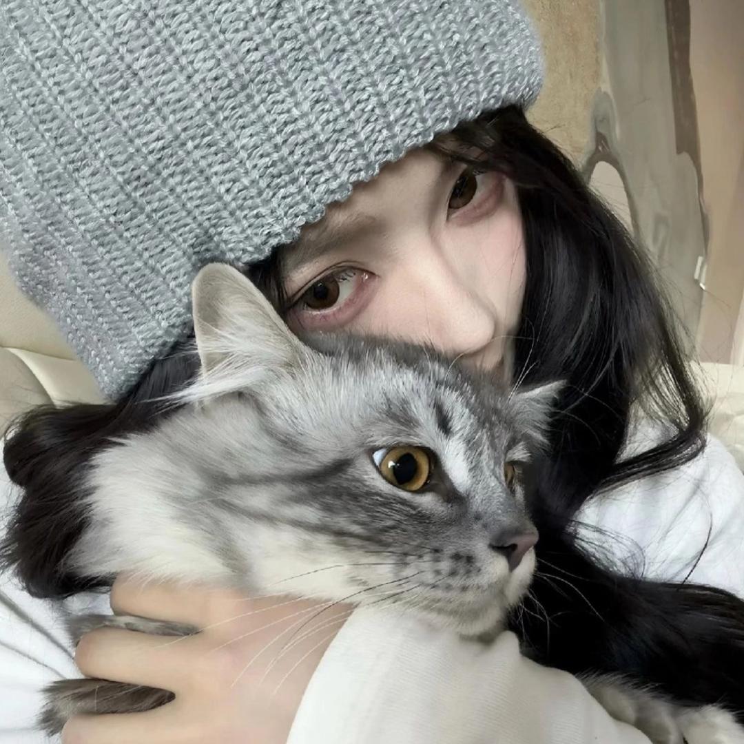 一叶暴富