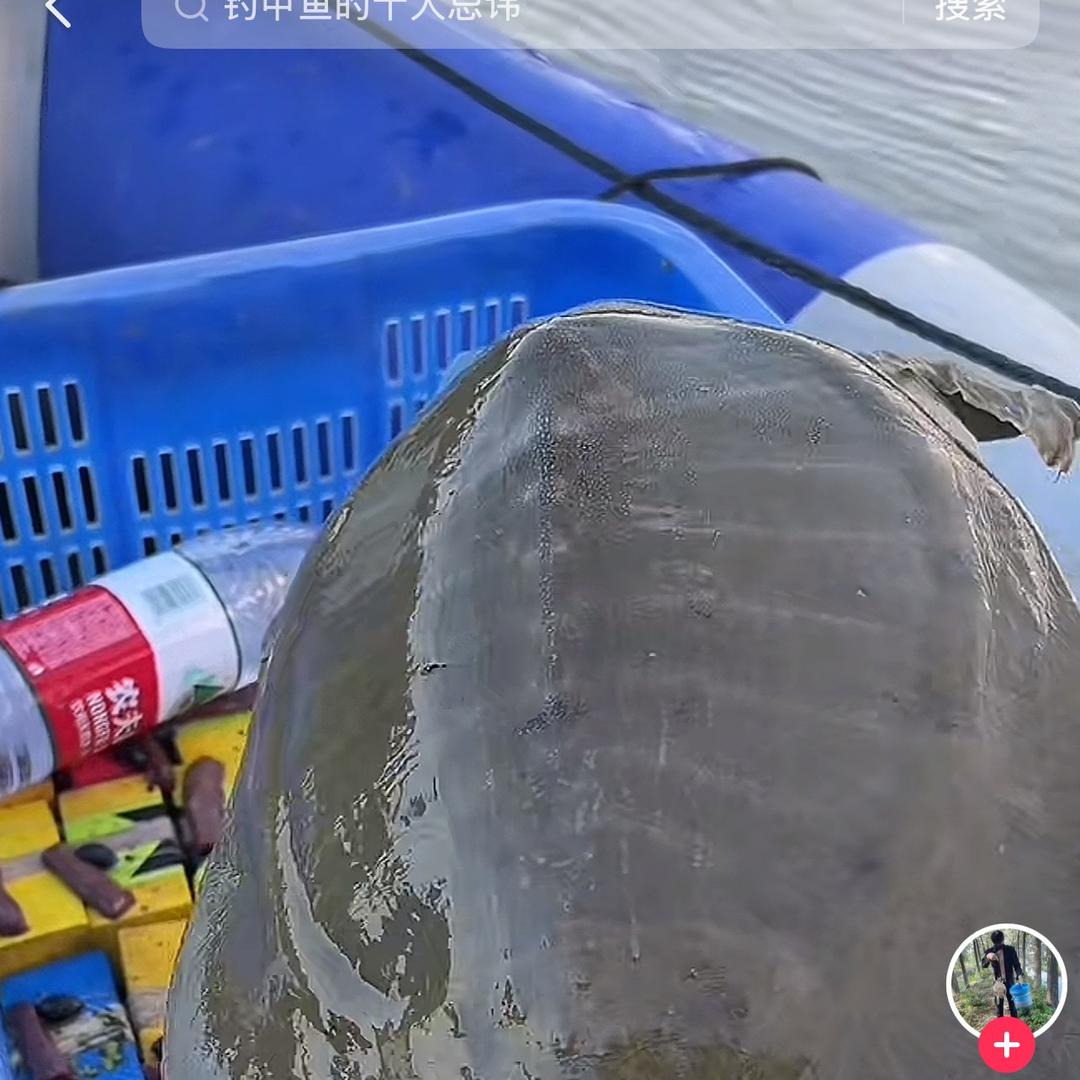小鱼爱户外