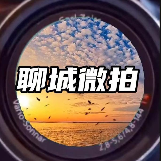 聊城微拍