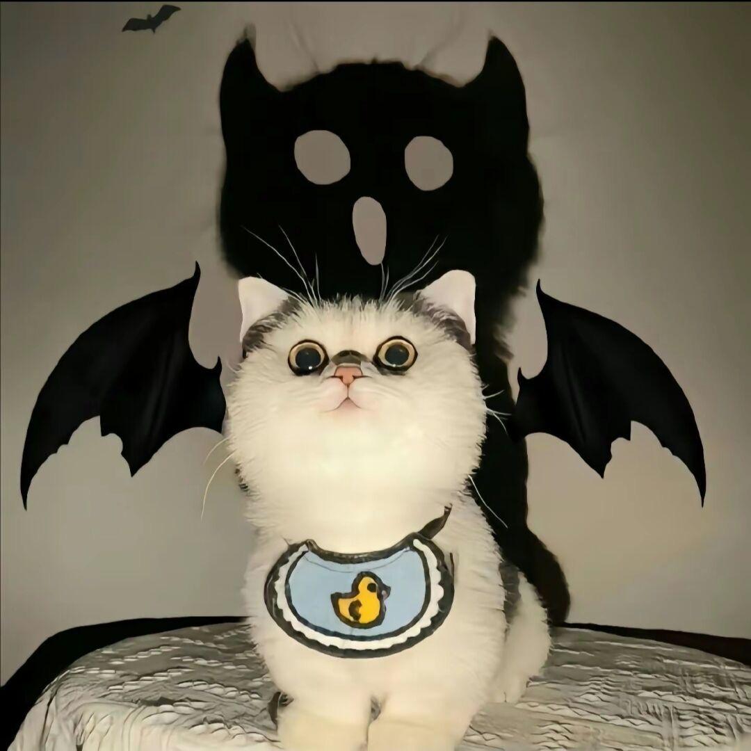 Jesph