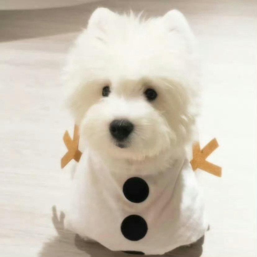 落寞腻腻