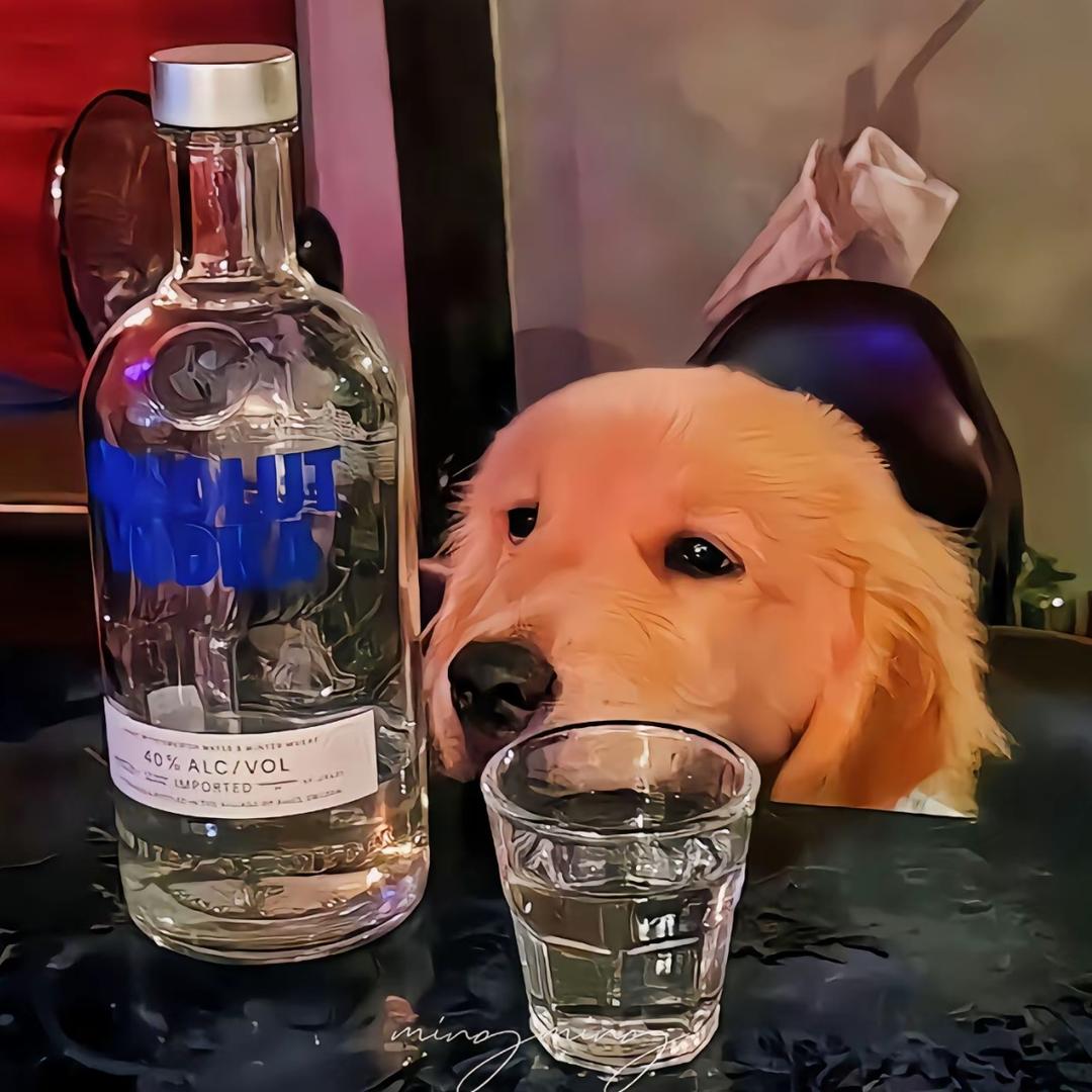 十三州府