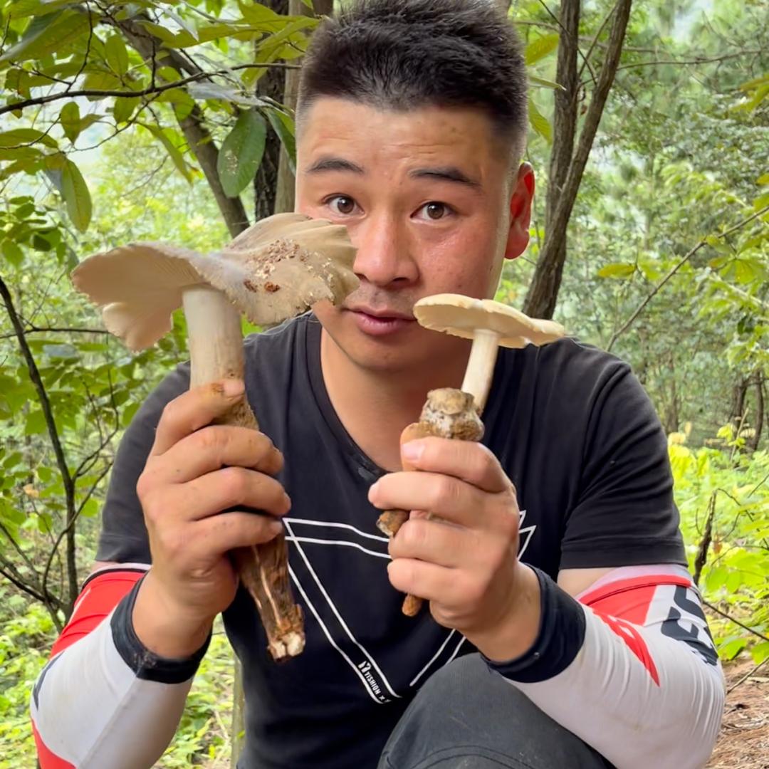 捡菌子的牛哥