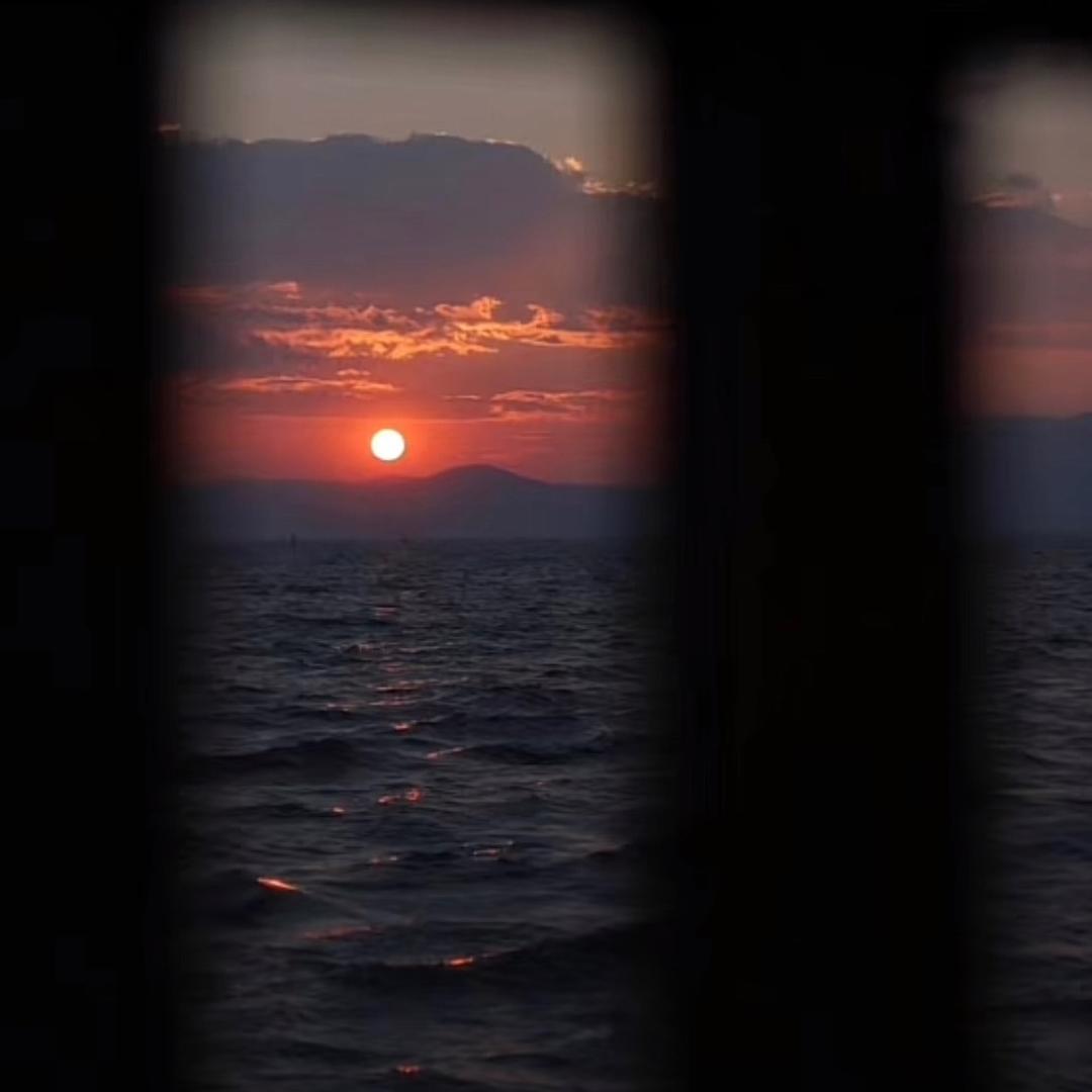 欲与鱼遇🏸️📷