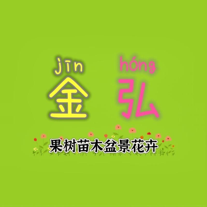 华源金弘果树苗木盆景花卉直营店