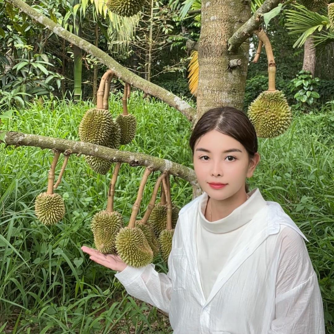 聚鑫苗木