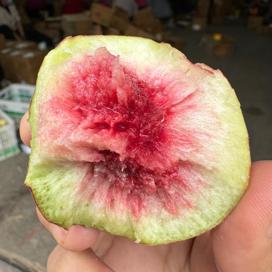 青州蜜桃现摘直发