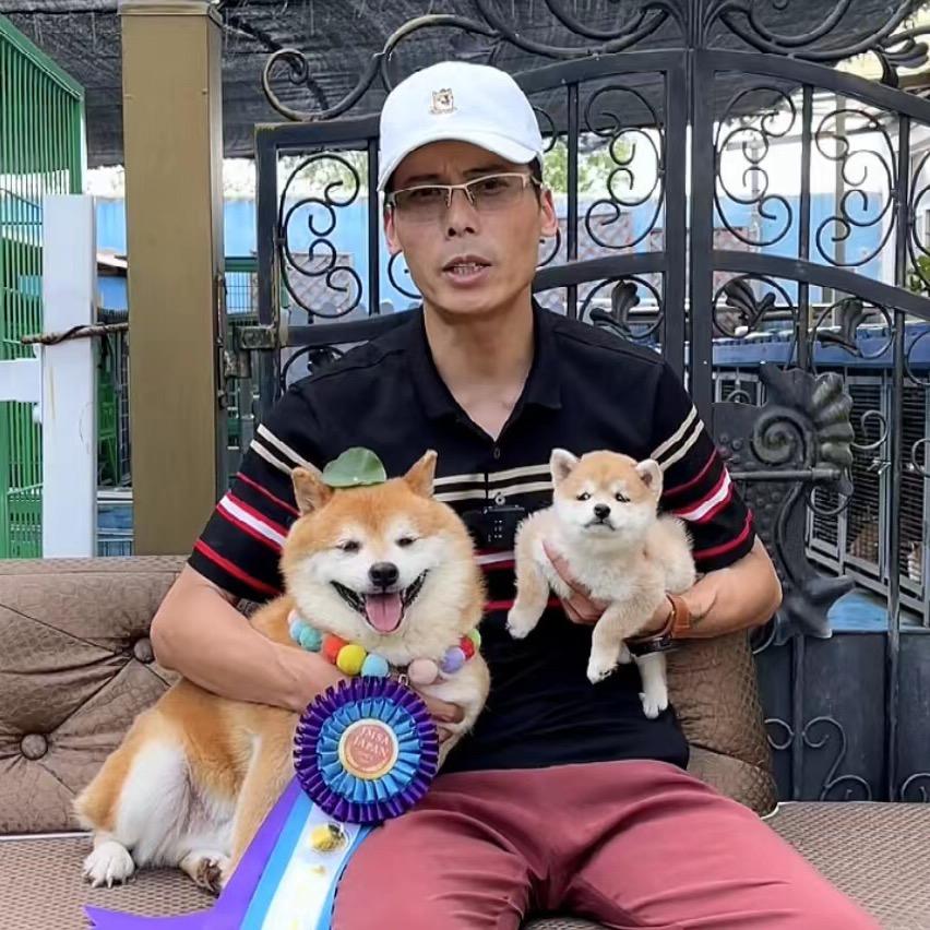 太太团豆柴犬社直播号