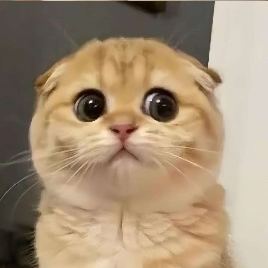 水