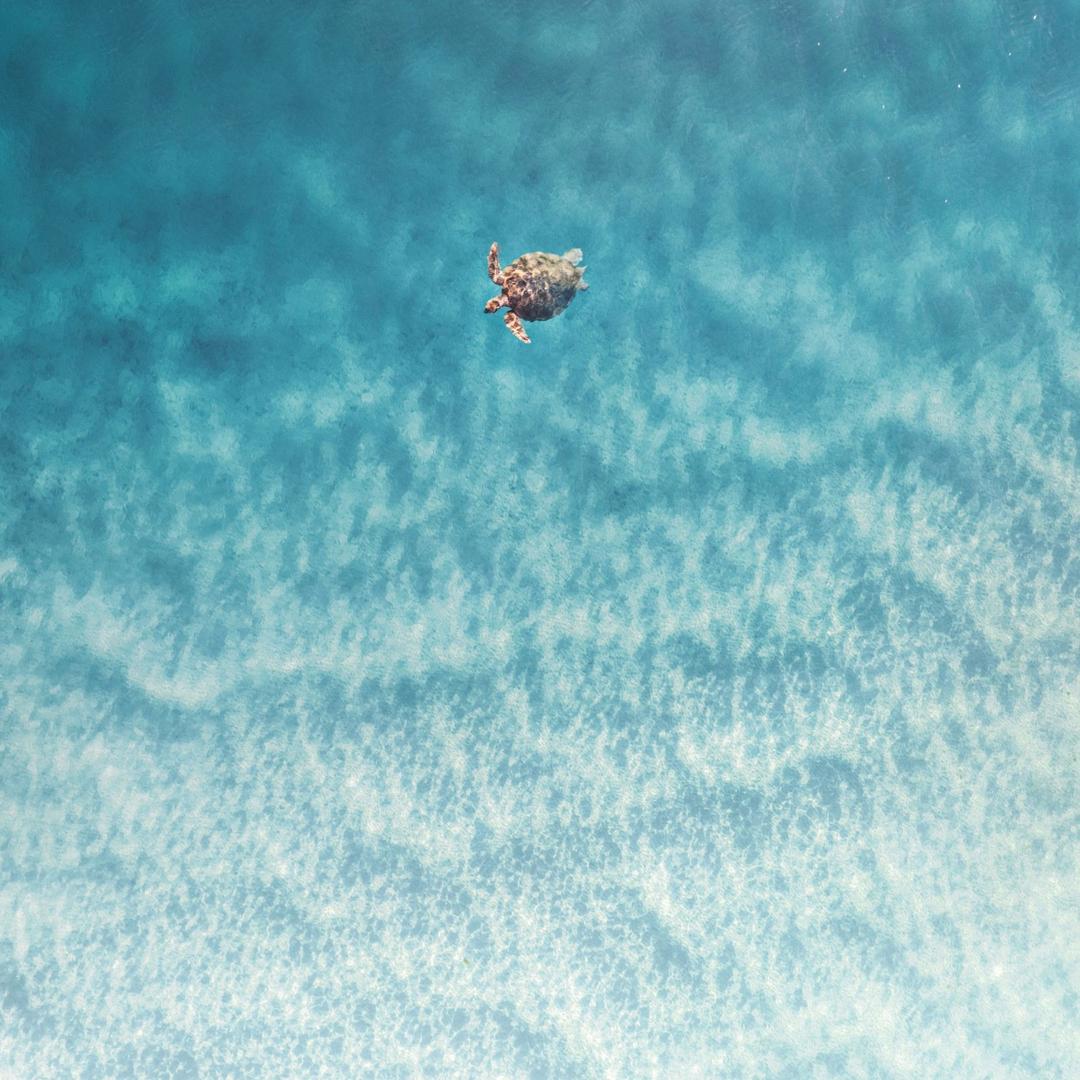 夏天的冬天