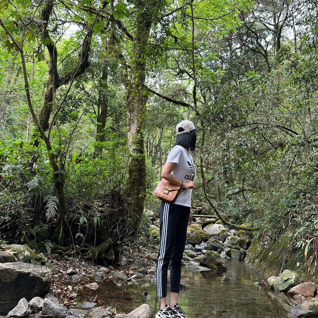 腾冲姑娘的普洱茶