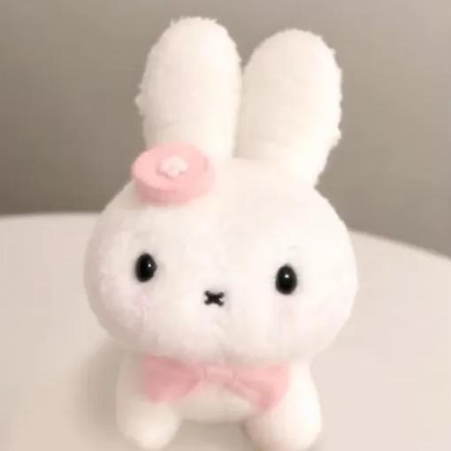 幸运小兔˶ᕱ⑅ᕱ˶