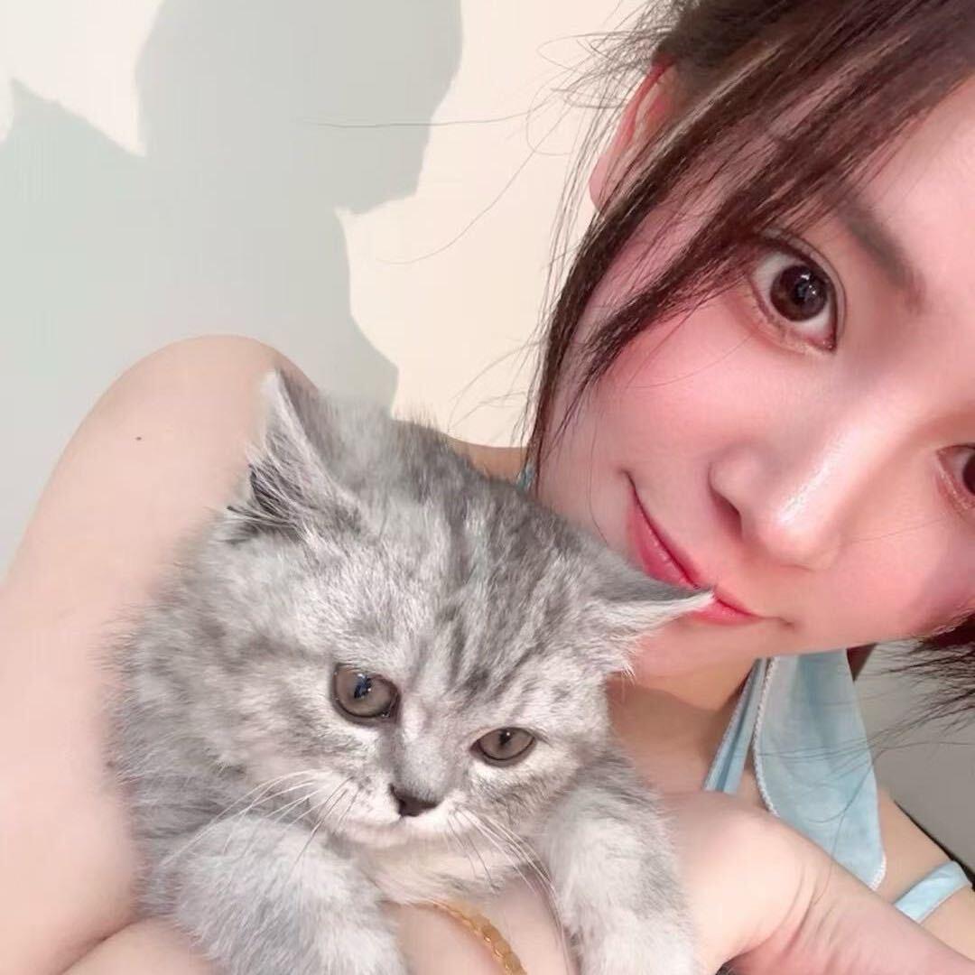 小七。
