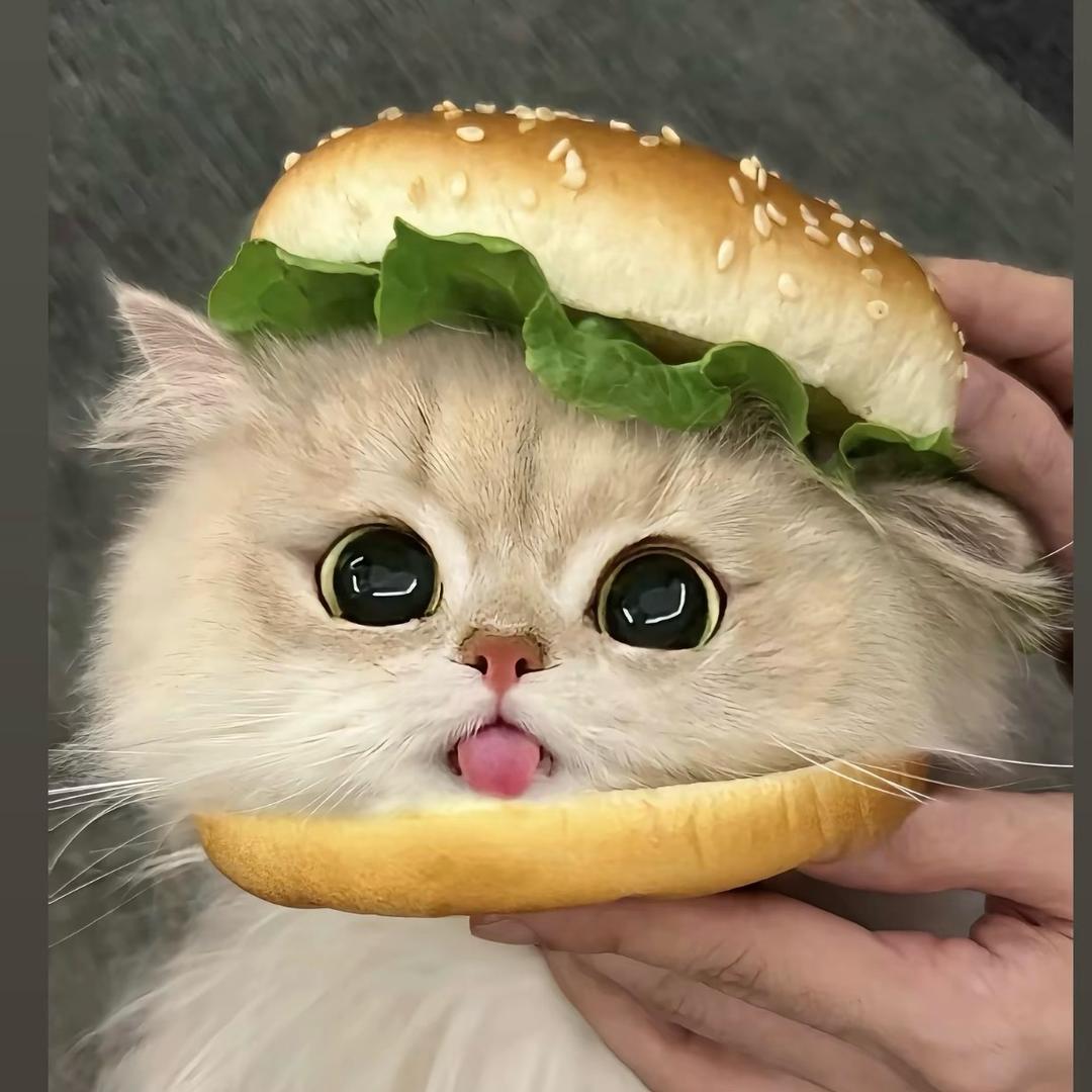 🌈🧣• ·̫ •🧣