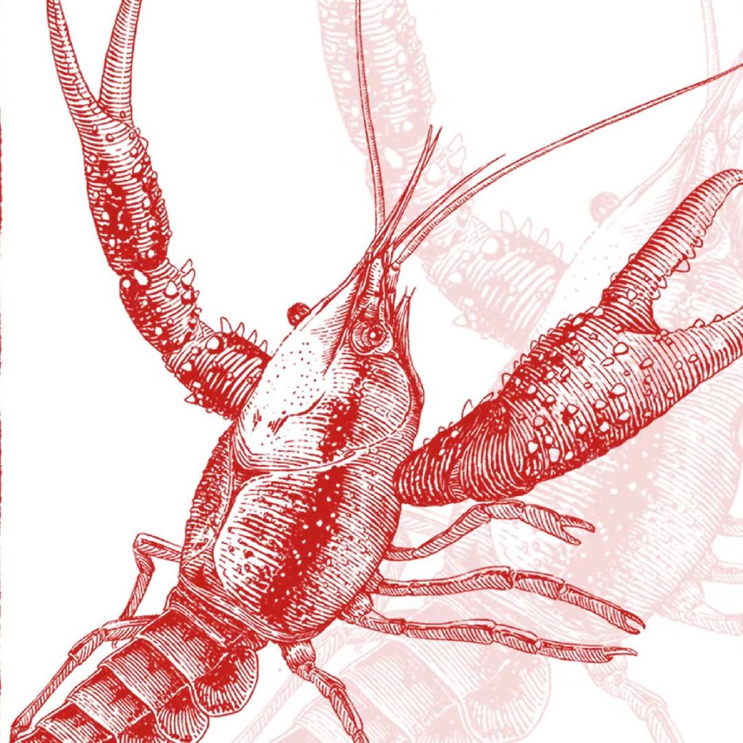 胡一筒小龙虾（养殖基地 鲜活批发）