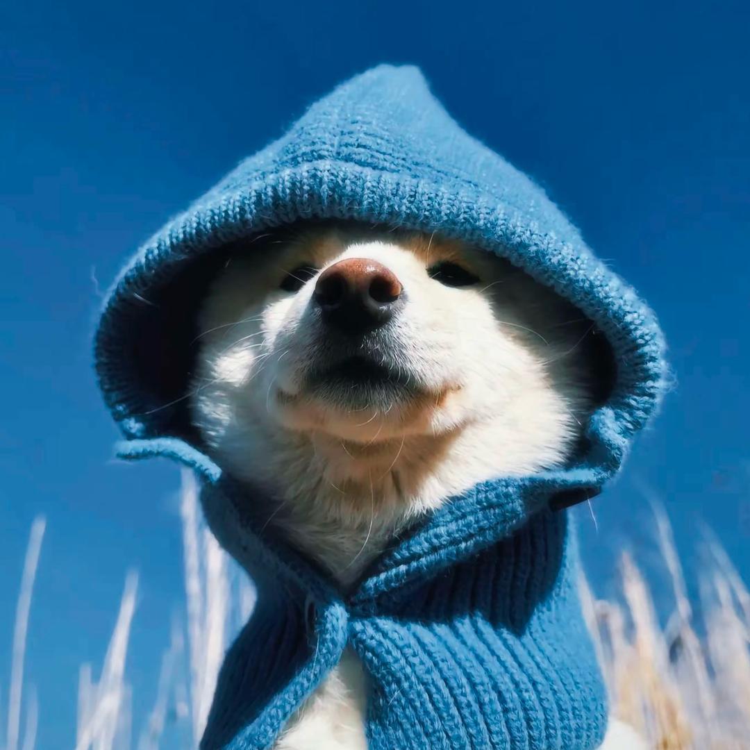 青春有两拐🇨🇳