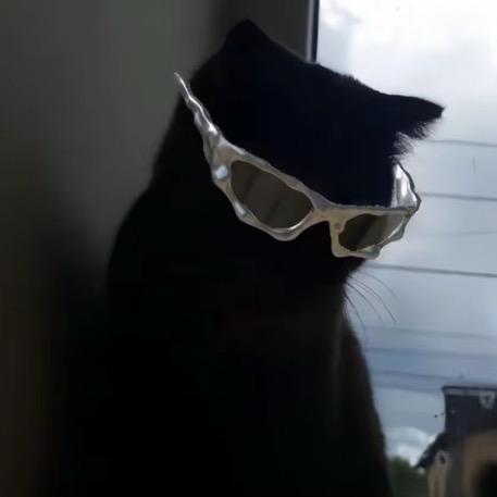 临渡
