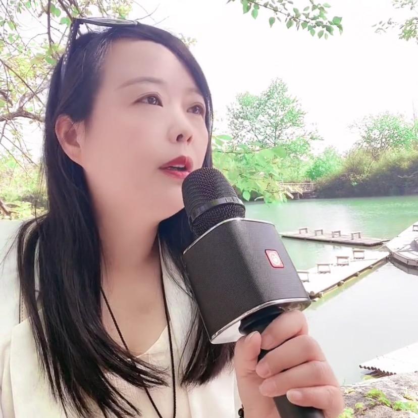 流星（无线麦克风）