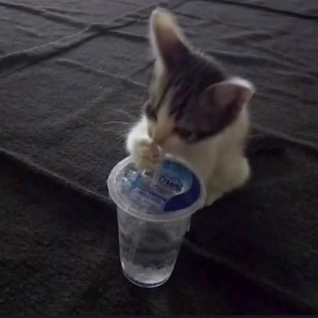 我女盆友很可爱