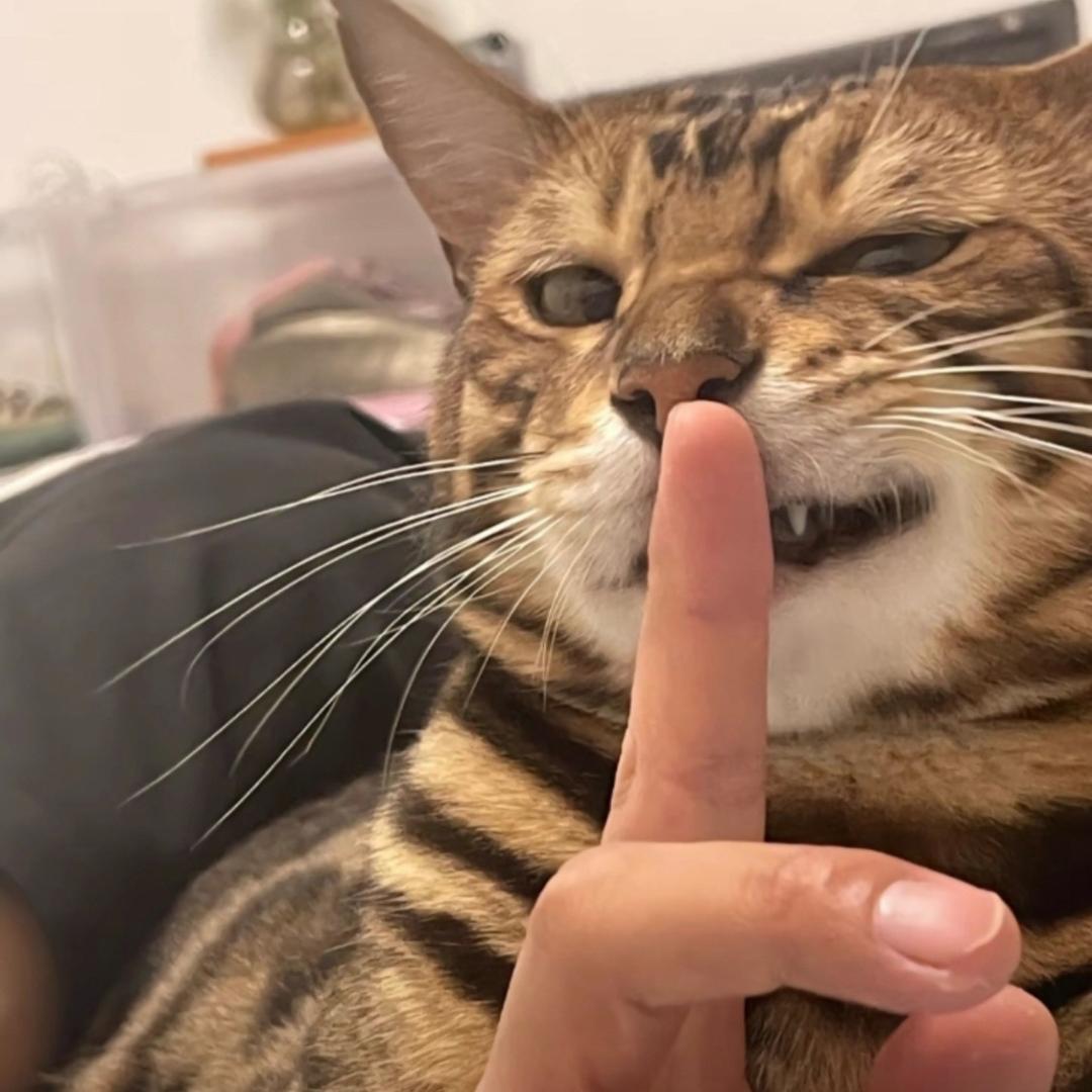 反手被抓把柄
