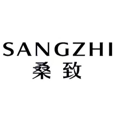 桑致数码