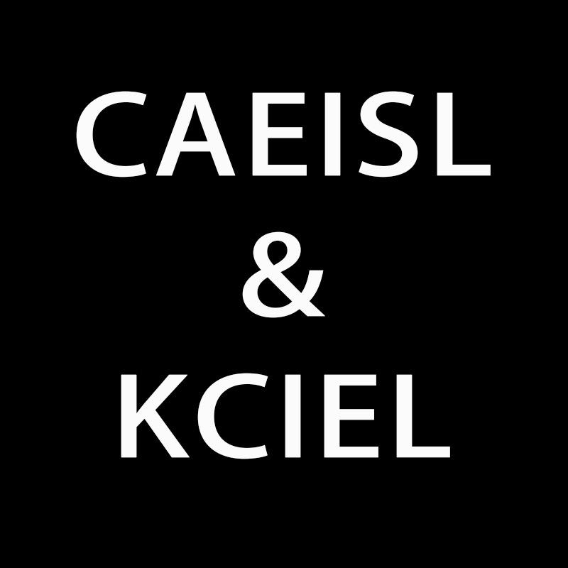 CAEISL&KCIEL女包旗舰店
