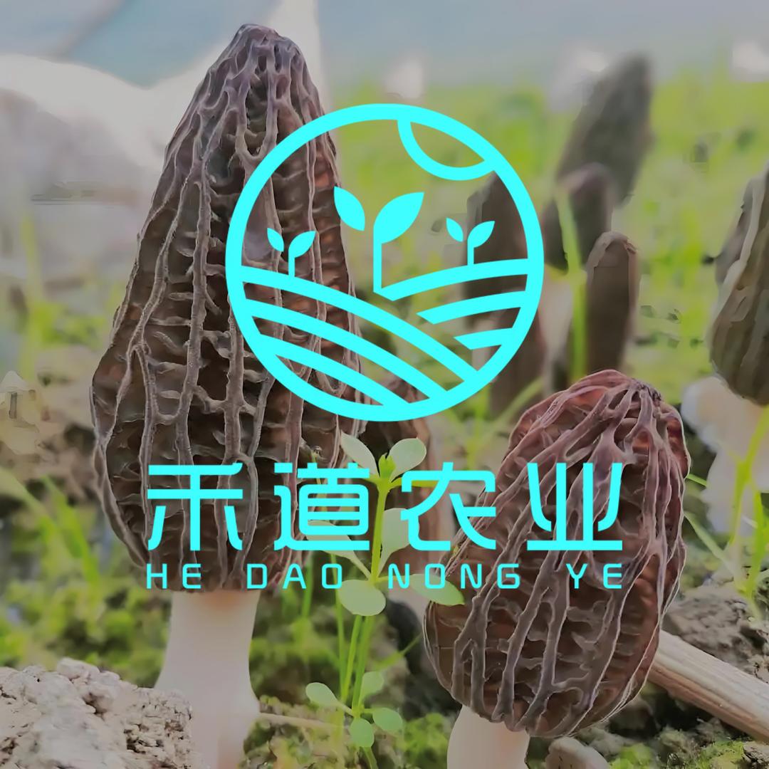 禾道农业（有机食品）