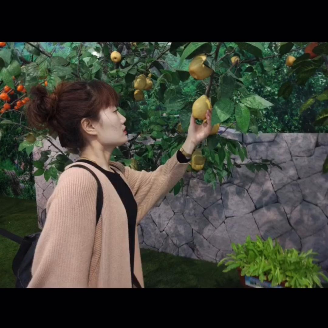 甜圆妈（下午3.10分）