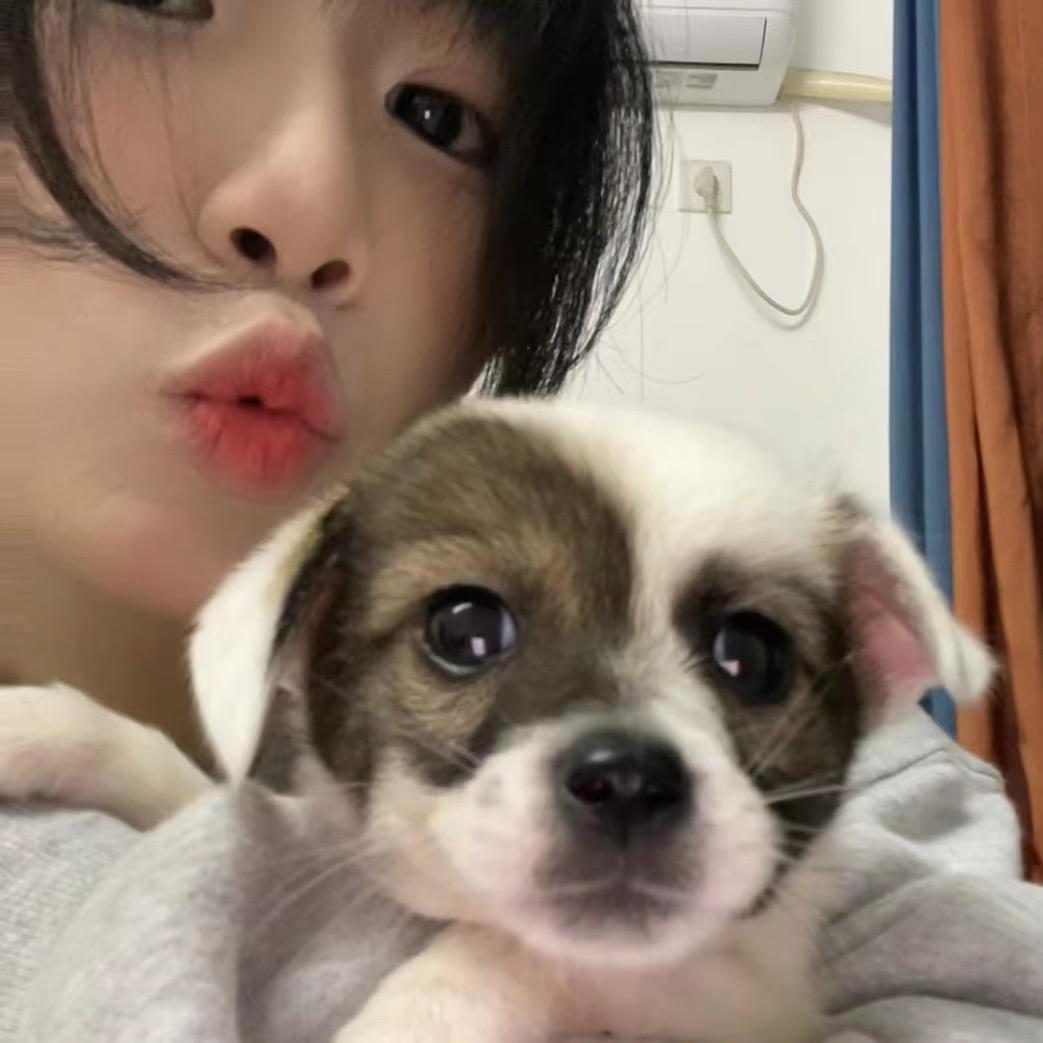 培根里脊（见过十个勤天版