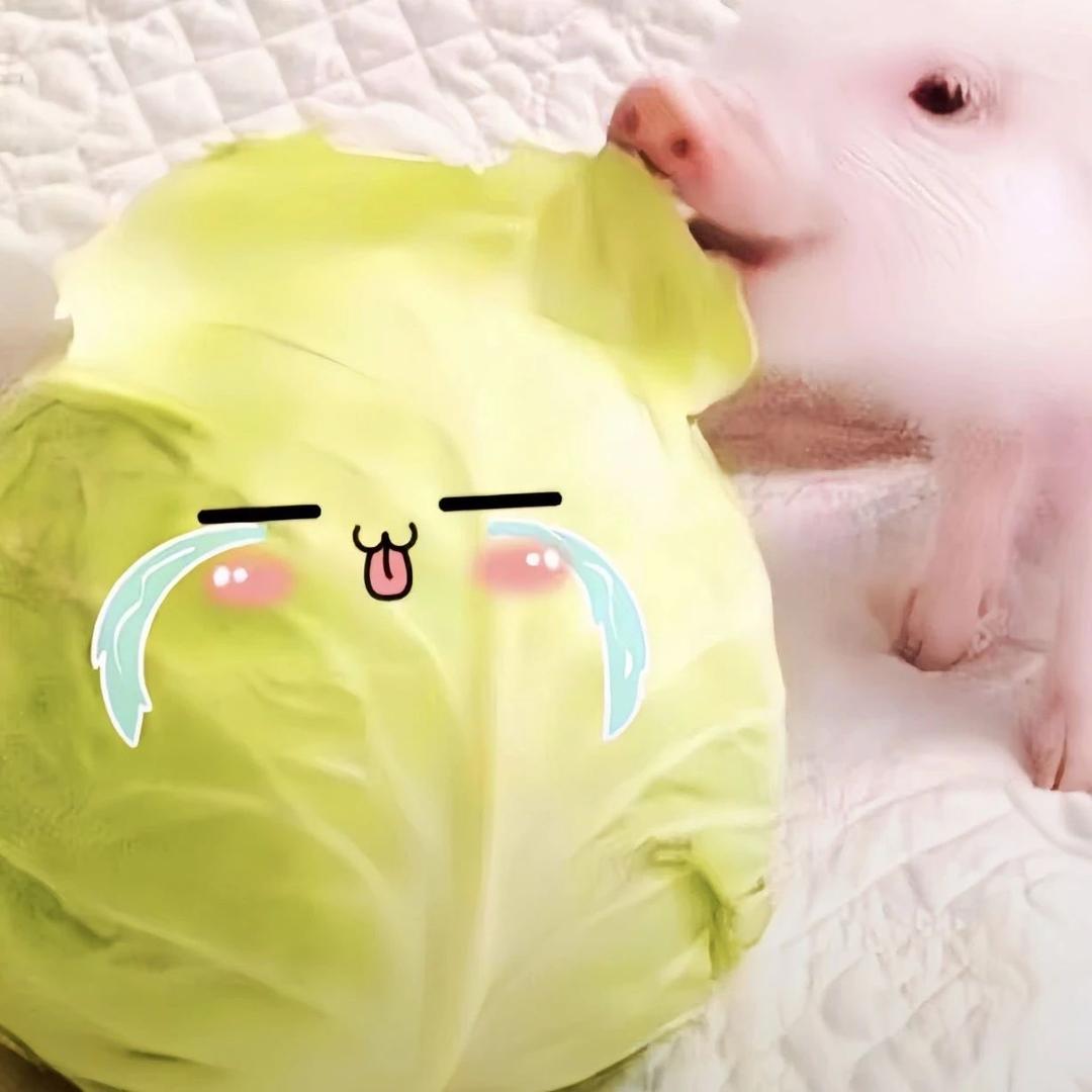 早睡不想早起