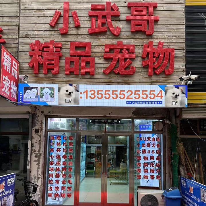 大庆小武哥精品宠物