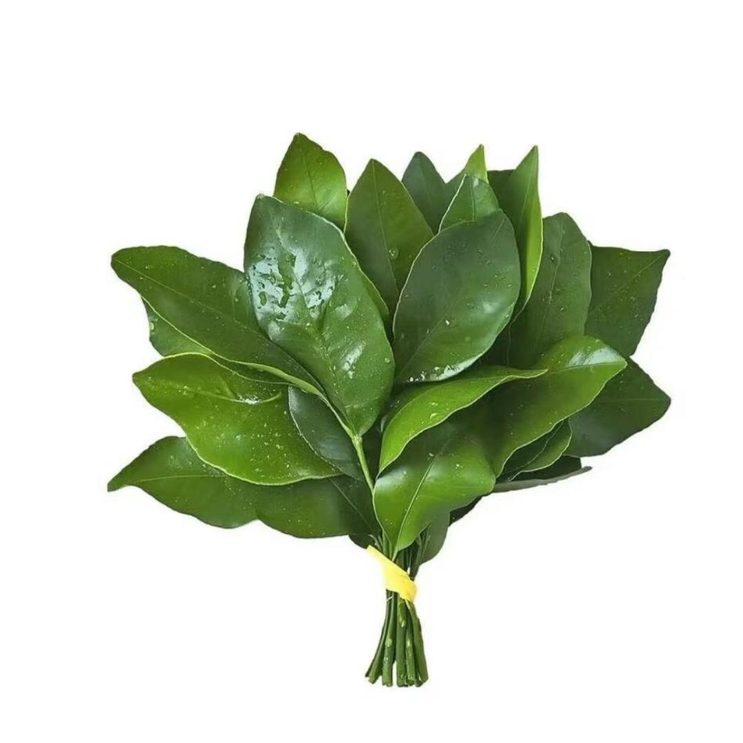 肉丝