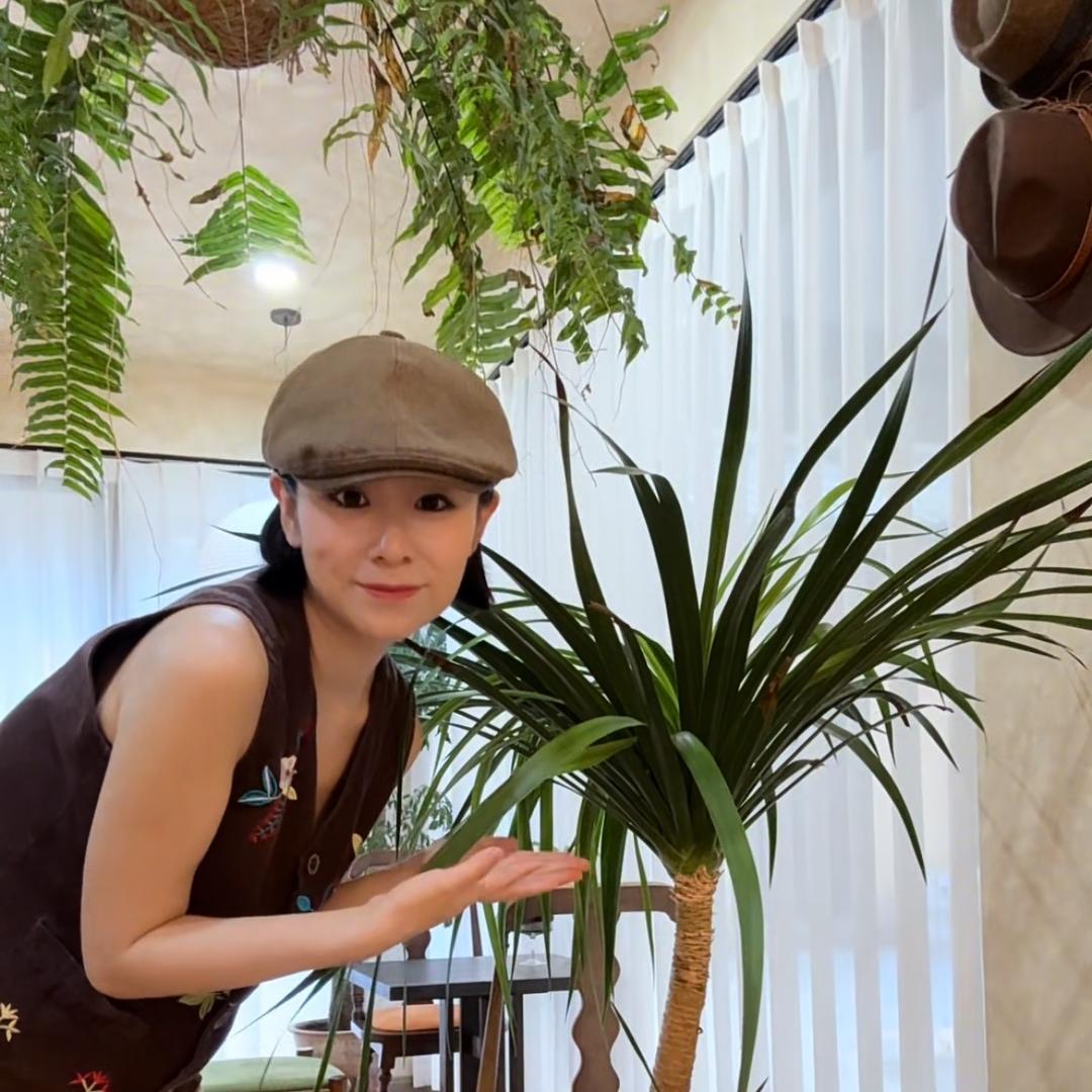 浮岚绿植