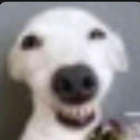 宗误