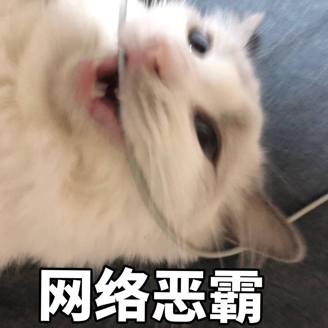 Kakakkk