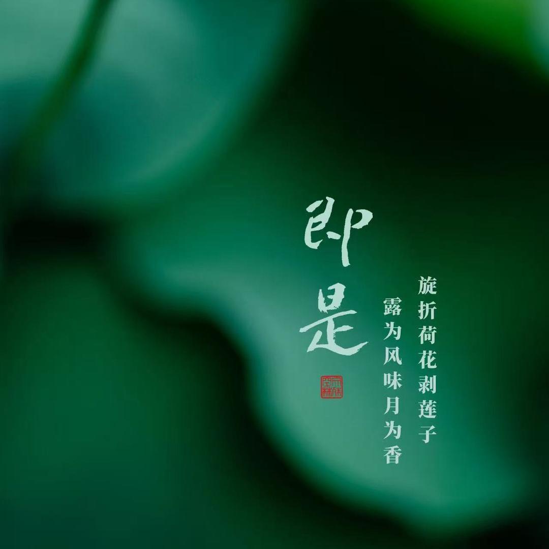 梦幻泡影