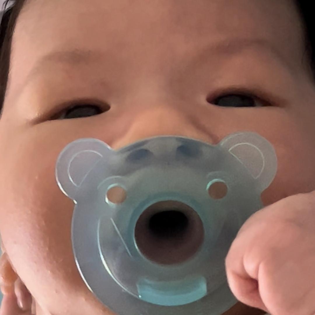 校草晚晚子
