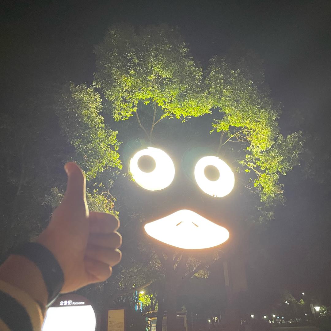 米斯特刘